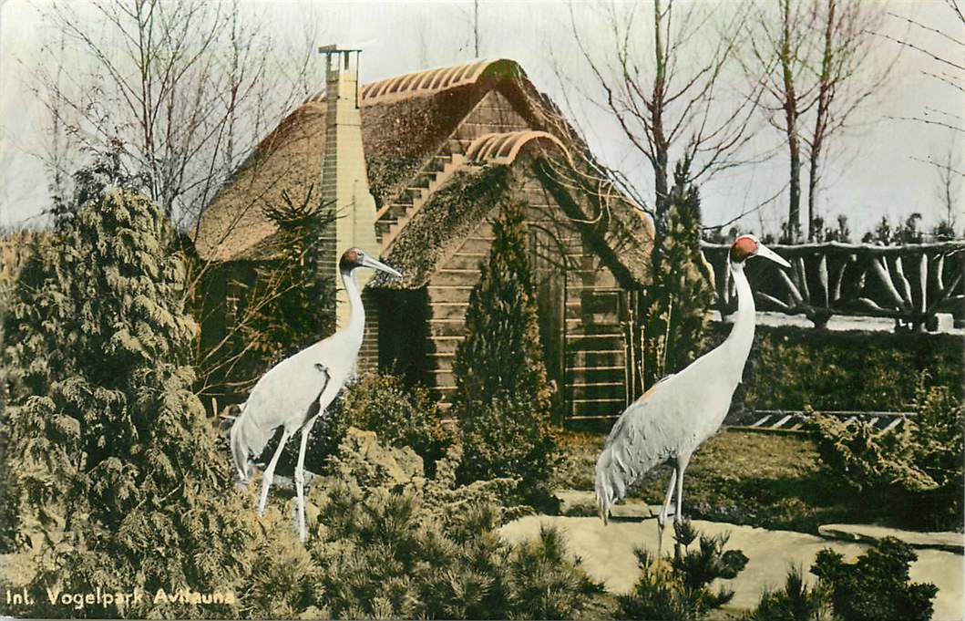 Alphen aan de Rijn Avifauna