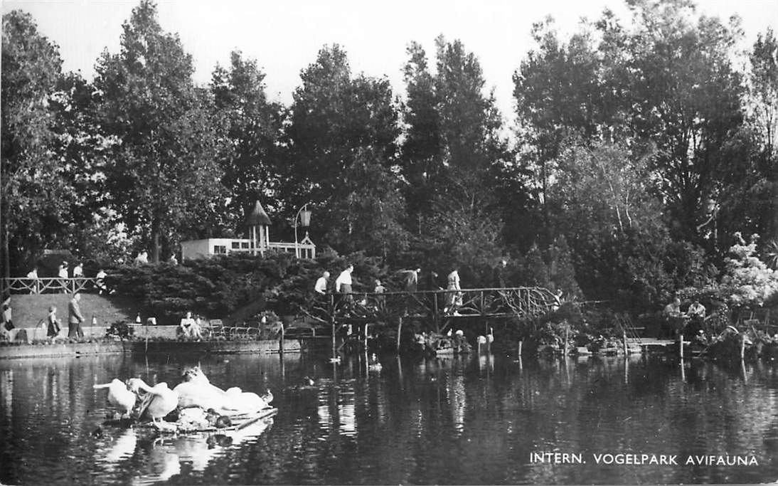 Alphen aan de Rijn Avifauna