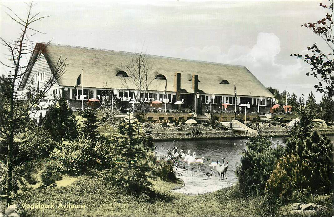 Alphen aan de Rijn Avifauna