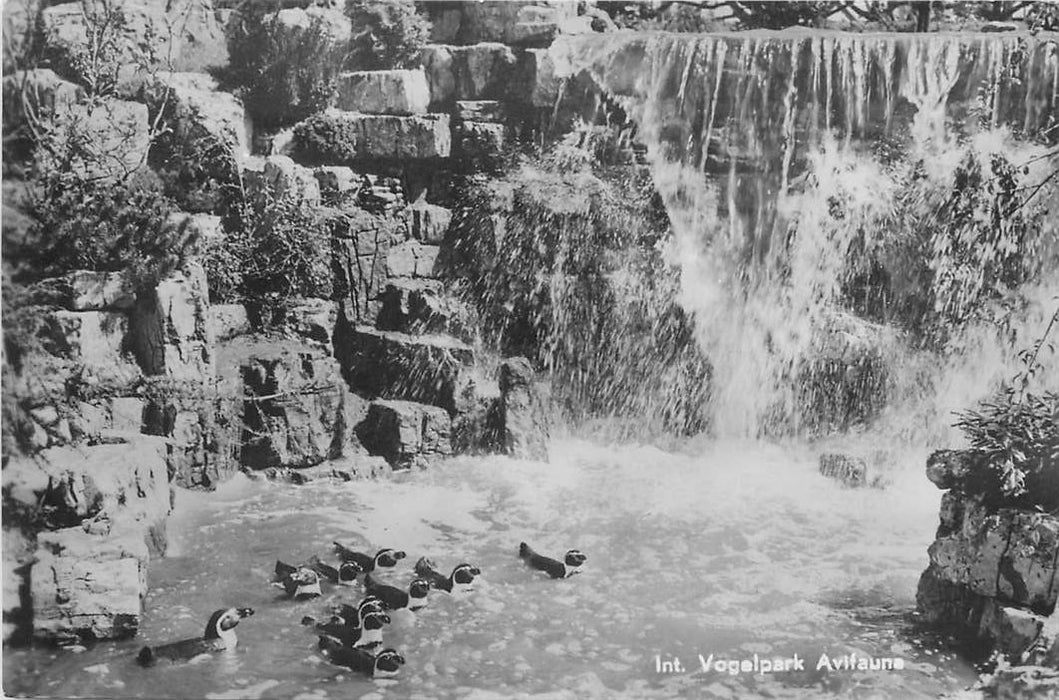 Alphen aan de Rijn Avifauna