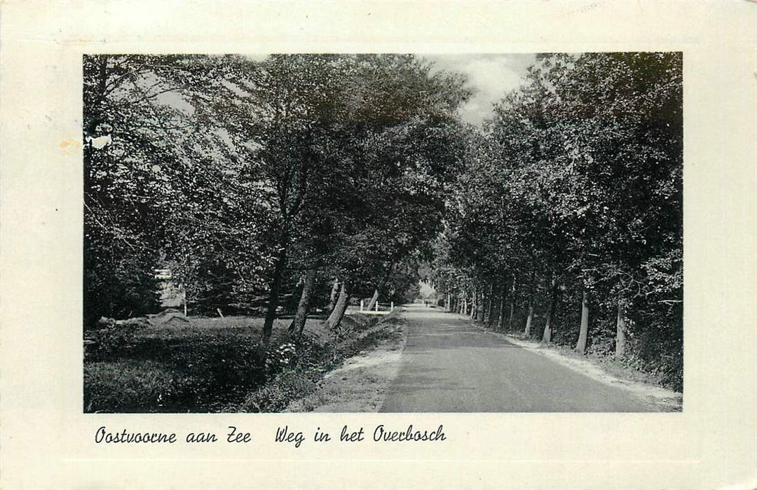 Oostvoorne aan Zee Weg in het Overbosch