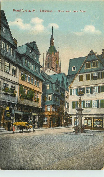 Frankfurt Saalgasse
