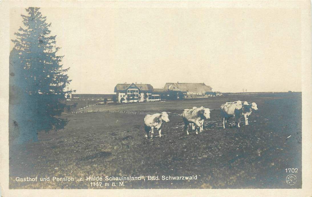 Gasthof und Pension Schwarzwald