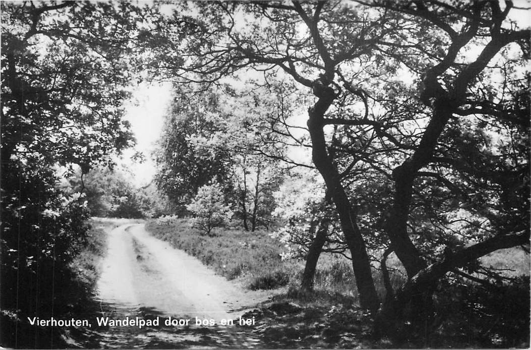 Vierhouten Wandelpad door bos en hei