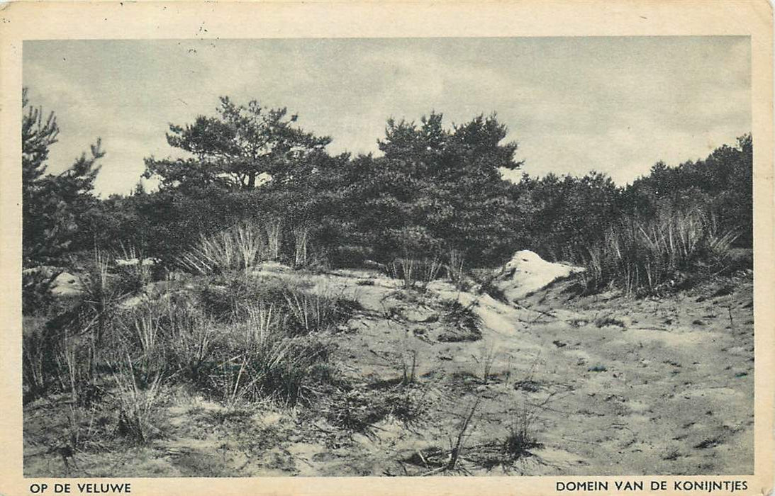 De Veluwe Domein van de Konijntjes