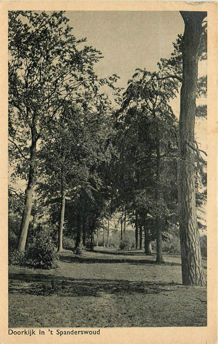 Spanderswoud Doorkijk