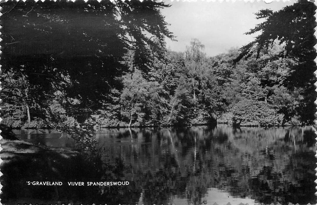 Graveland Vijver Spanderswoud