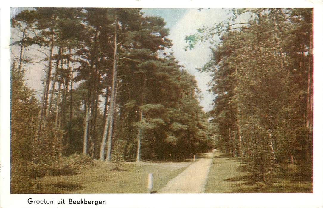 Beekbergen Groeten uit