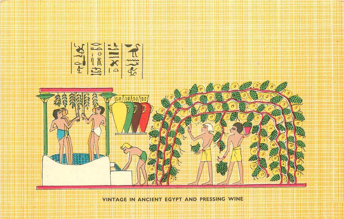 Vintage in Ancient Egypt and Pressing wine