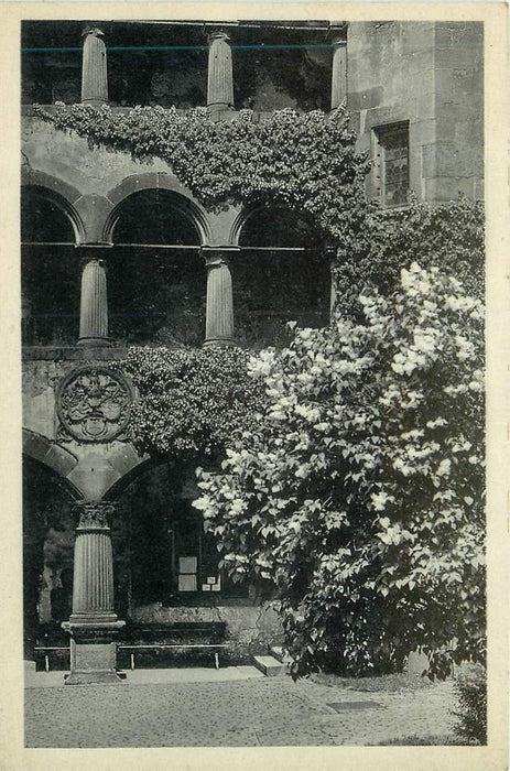 Fruhling in Heidelberg