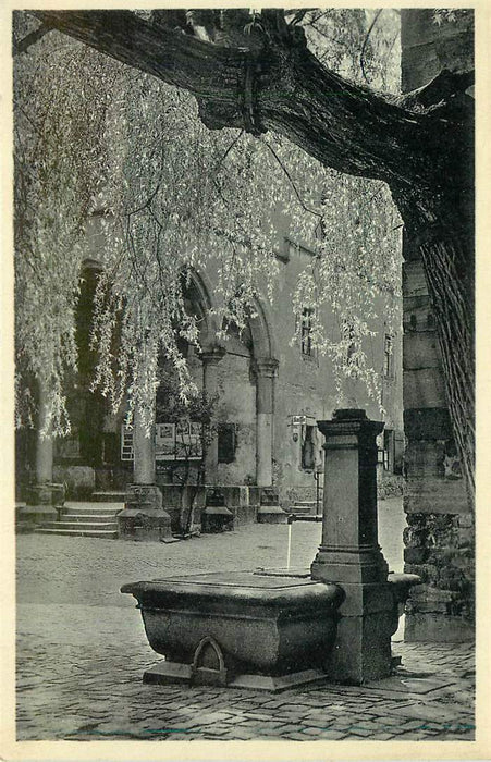 Fruhling in Heidelberg