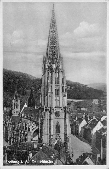 Freiburg Das Munster
