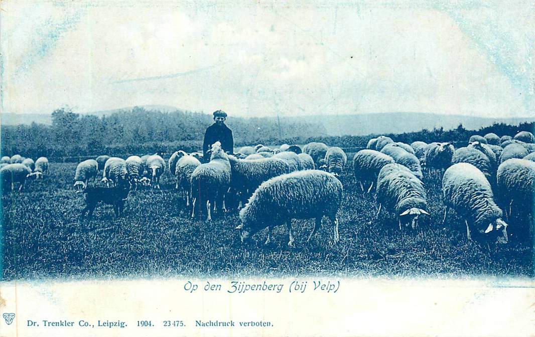 Velp Op den Zijpenberg