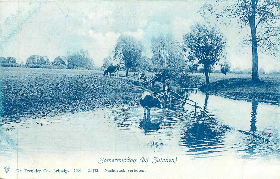 Zutphen Zomermiddag