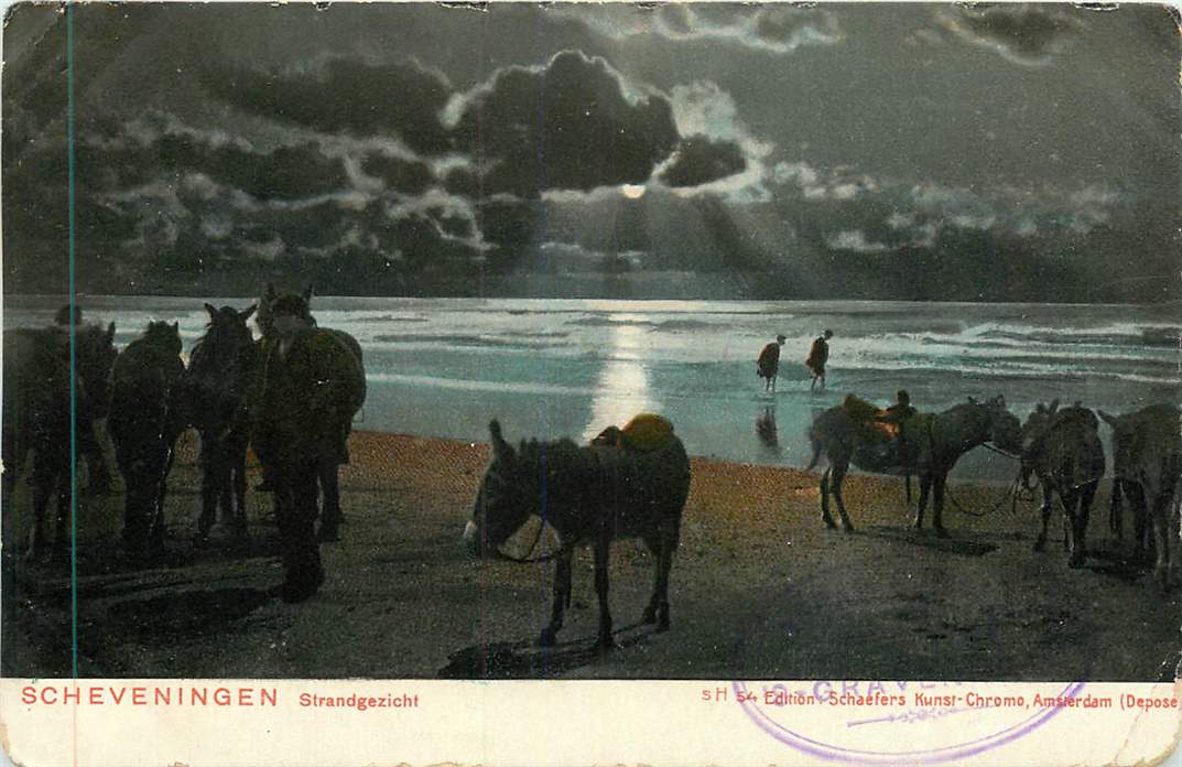 Scheveningen Strandgezicht