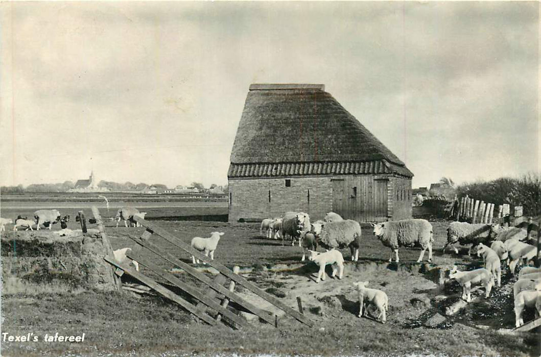 Texel's tafereel