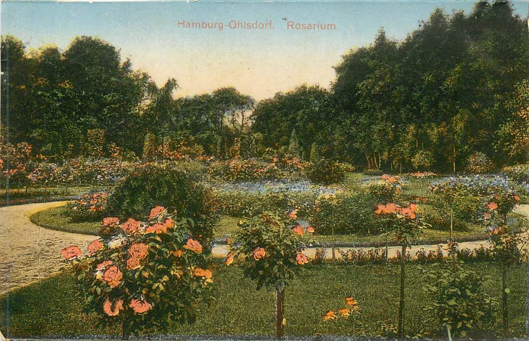 Hamburg-Ohlsdorf Rosarium