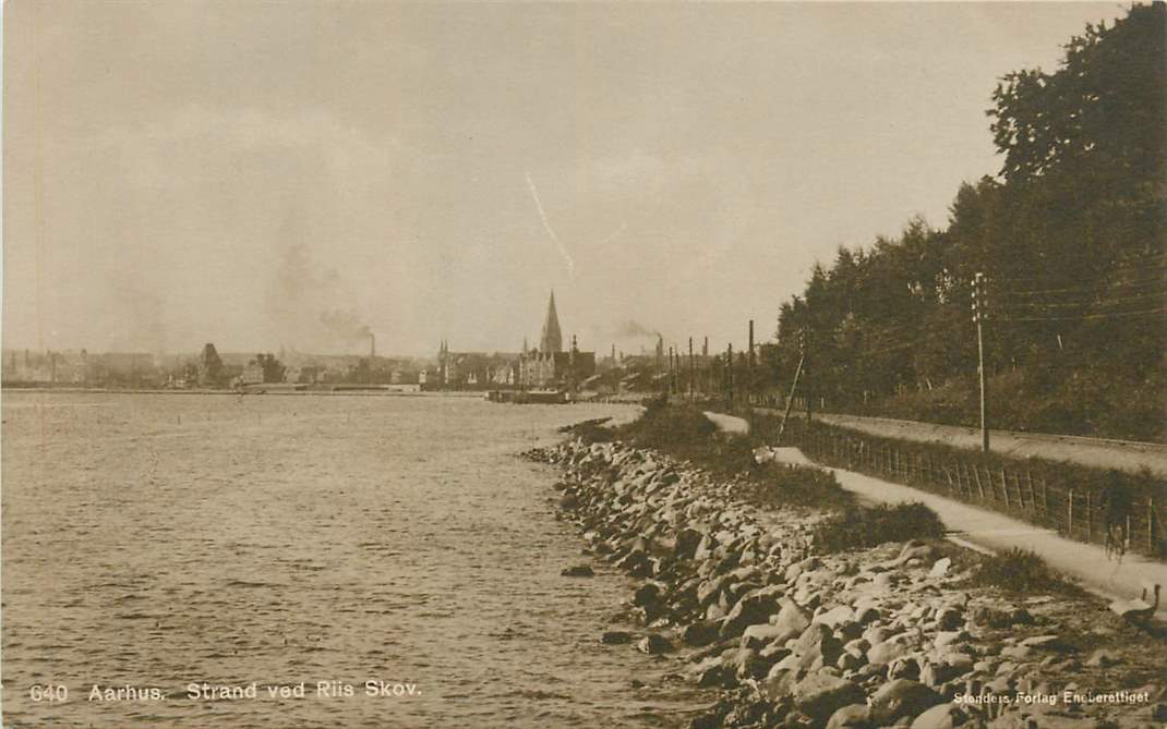 Aarhus Strand ved Riis Skov