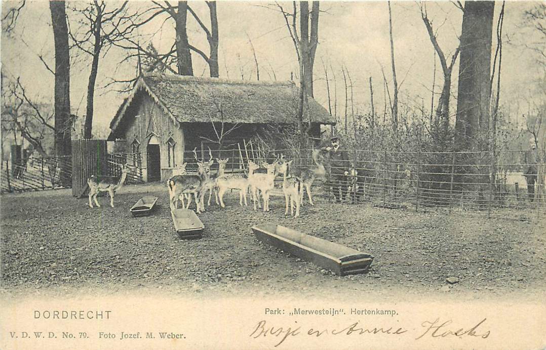 Dordrecht Hertenkamp