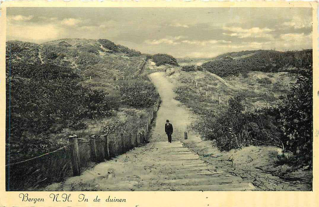 Bergen in de duinen