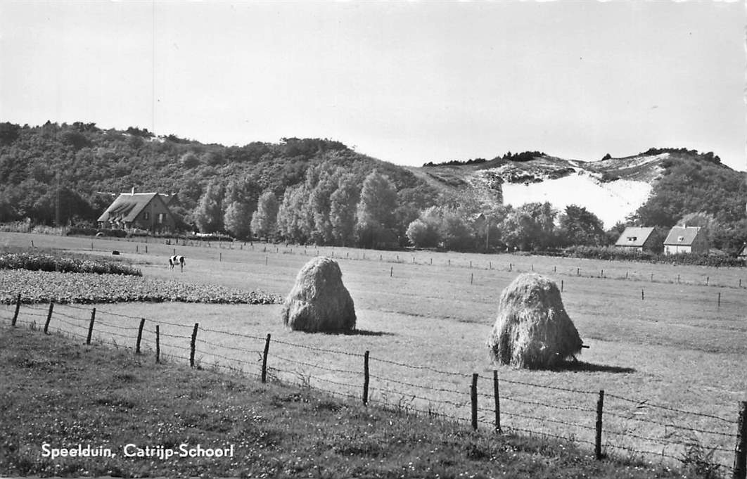 Speelduin Catrijp-Schoorl