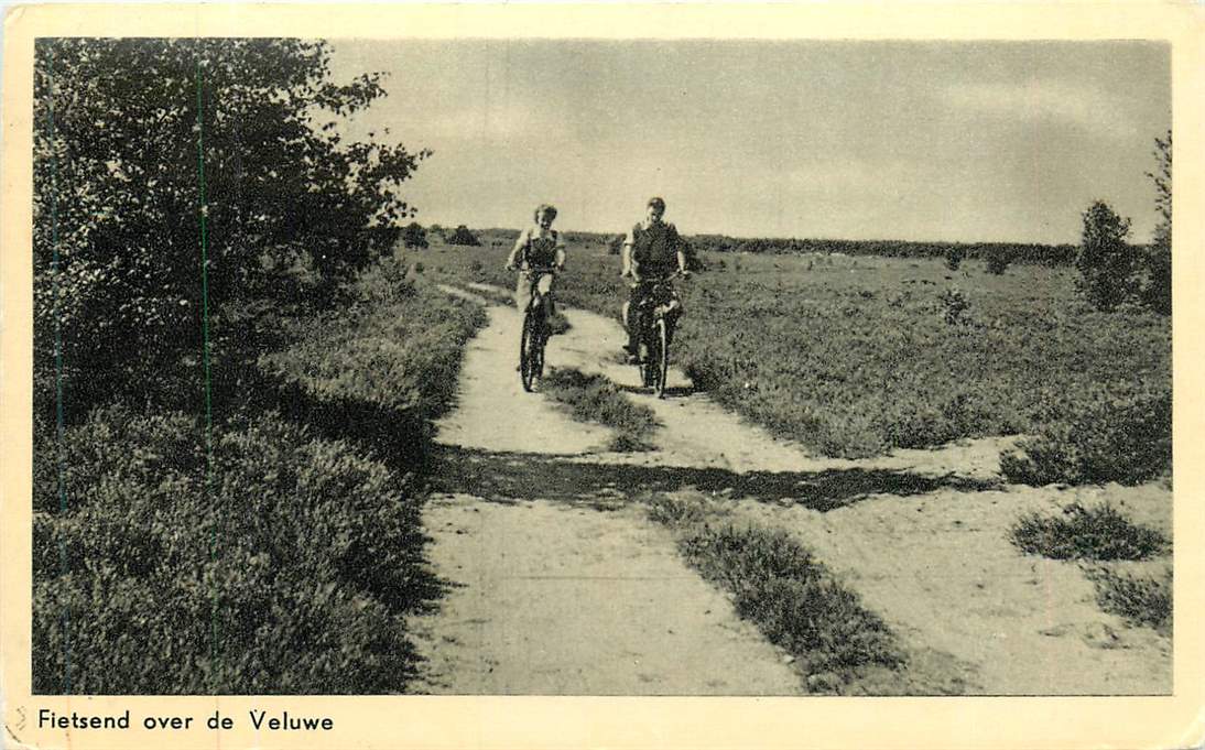 Fietsend over de Veluwe