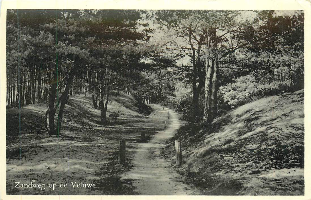 Zandweg op de Veluwe