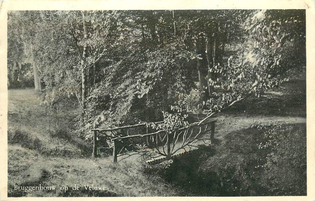 Bruggenbouw op de Veluwe