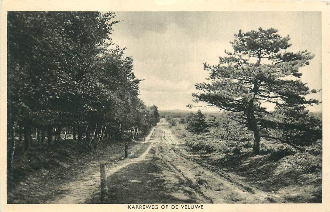 Karreweg op de Veluwe