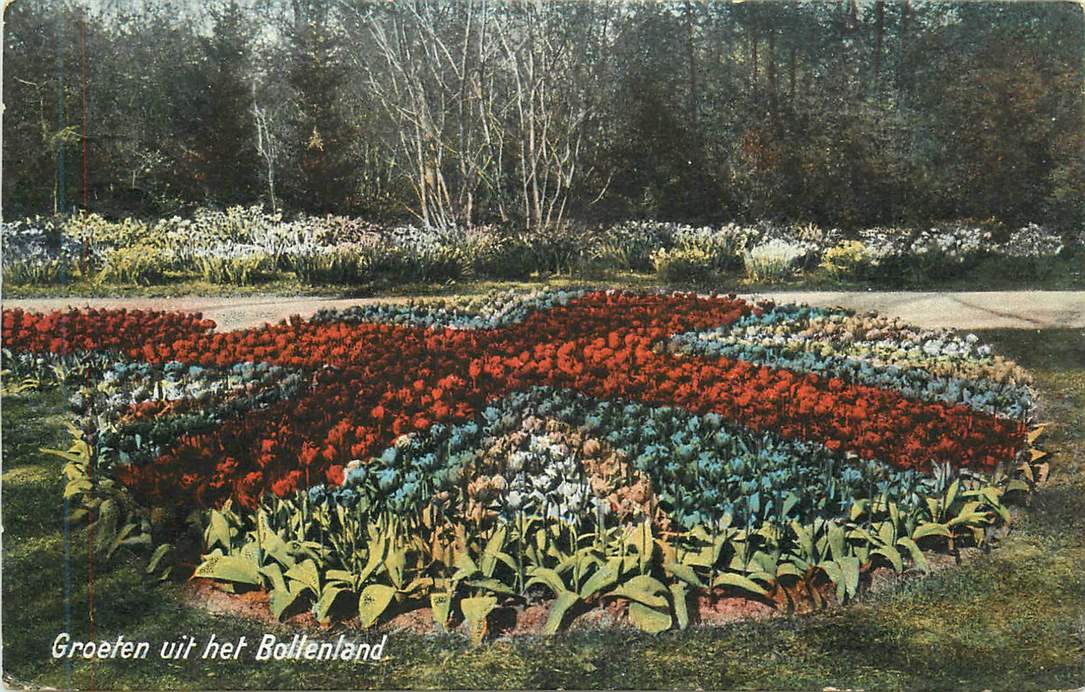 Bollenland Groeten uit