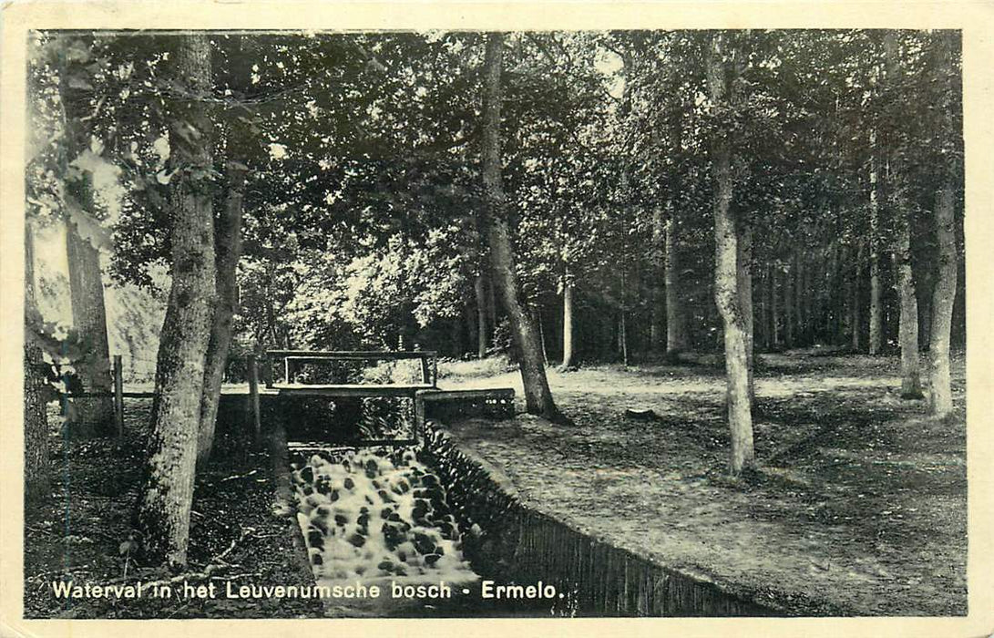 Ermelo Leuvenumsche bosch