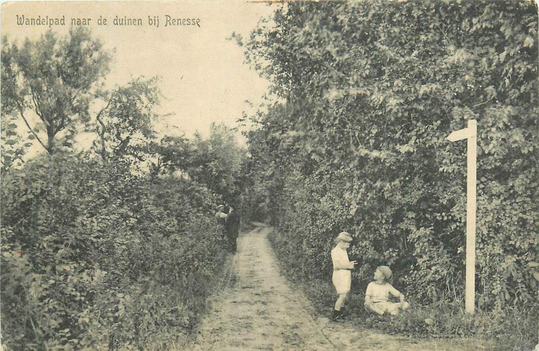 Wandelpad naar de duinen bij Renesse