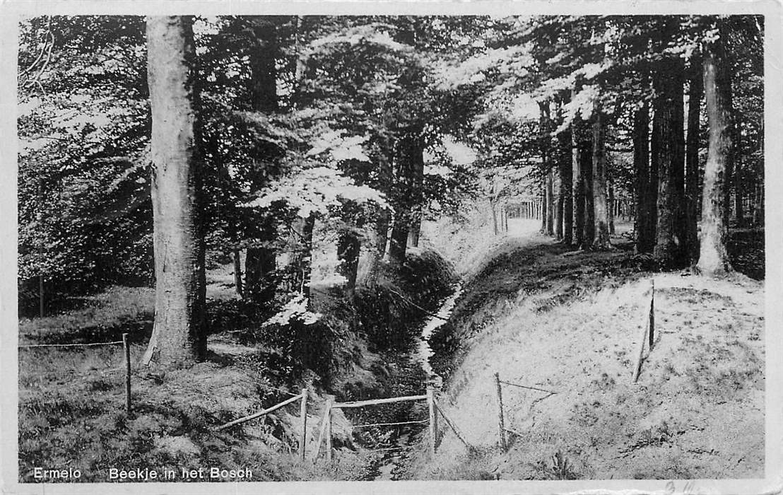 Ermelo Beekje in het Bosch