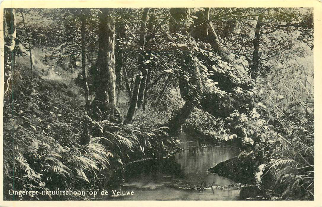 Veluwe Ongerept natuurschoon