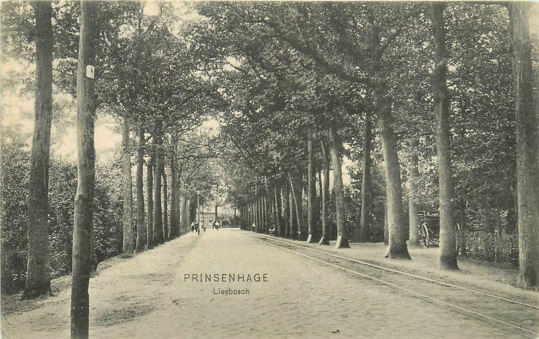 Prinsenhage Liesbosch