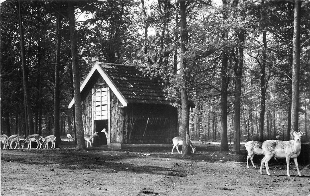 Wolfheze Hertenkamp