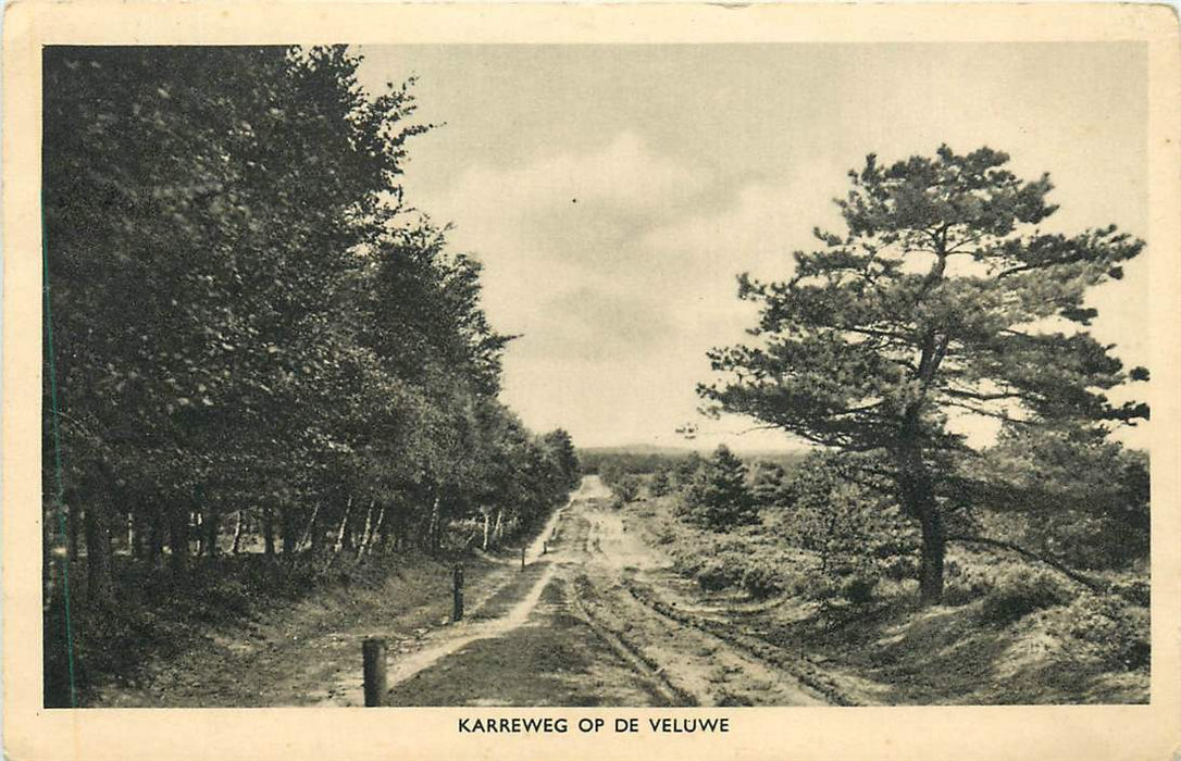 Karreweg op de Veluwe