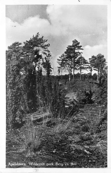 Apeldoorn Wildernis park Berg en Bos