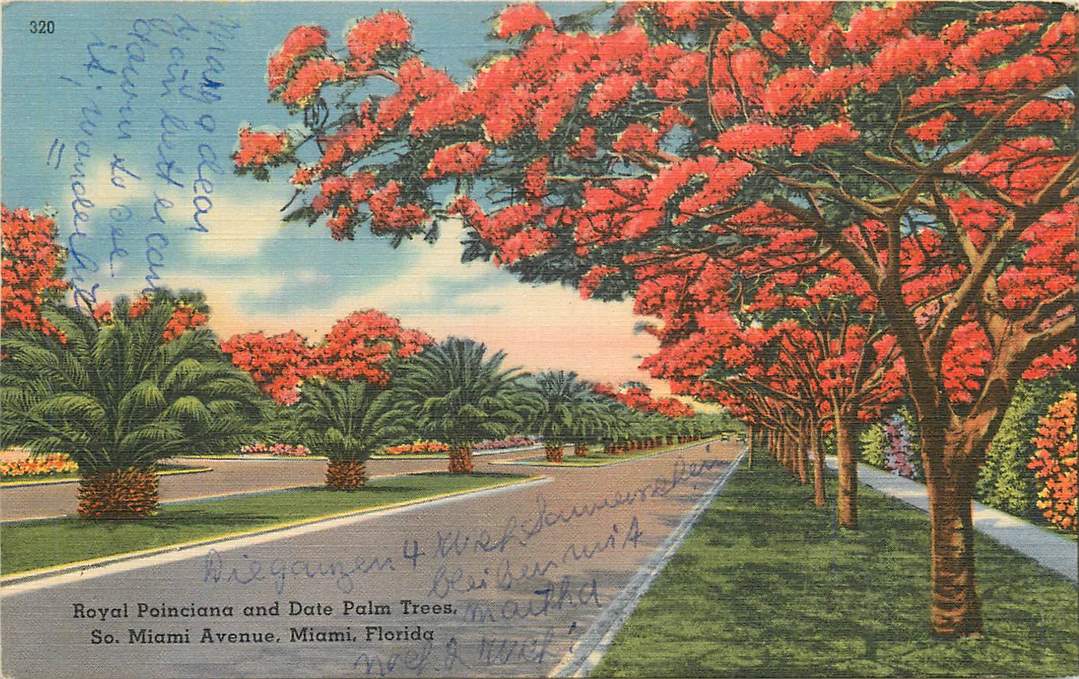 Florida Miami Avenue