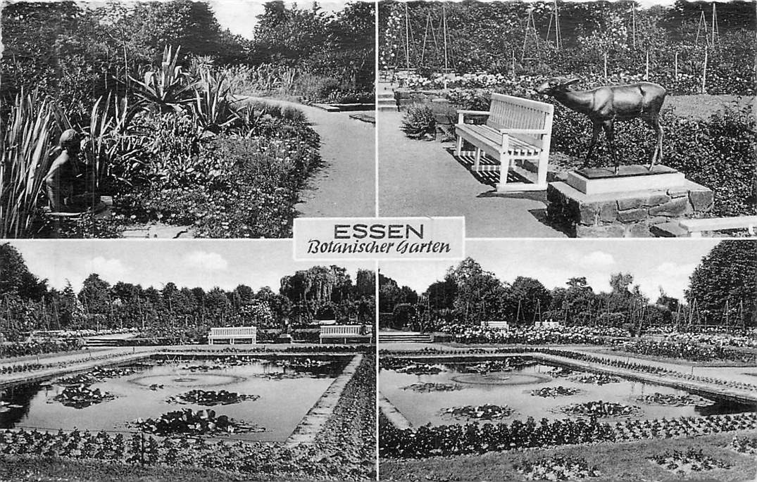 Essen Botanischer Garten