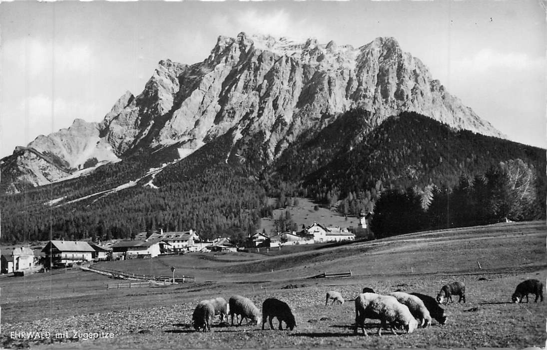 Ehrwald mit Zugspitze