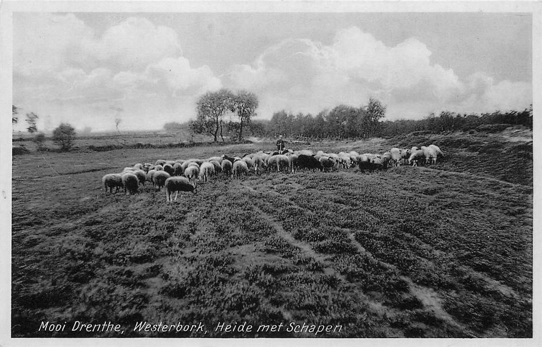 Mooi Drenthe Westerbork