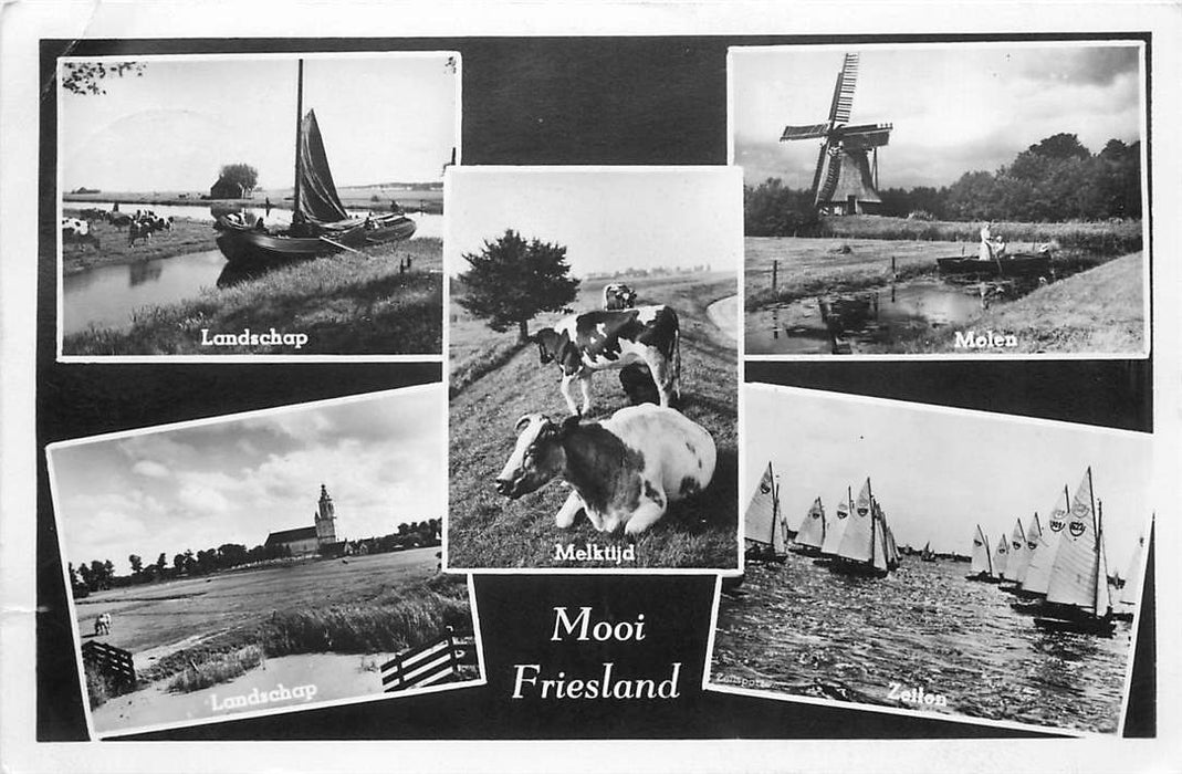 Mooi Friesland