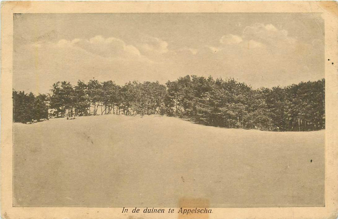 In de duinen te Appelscha