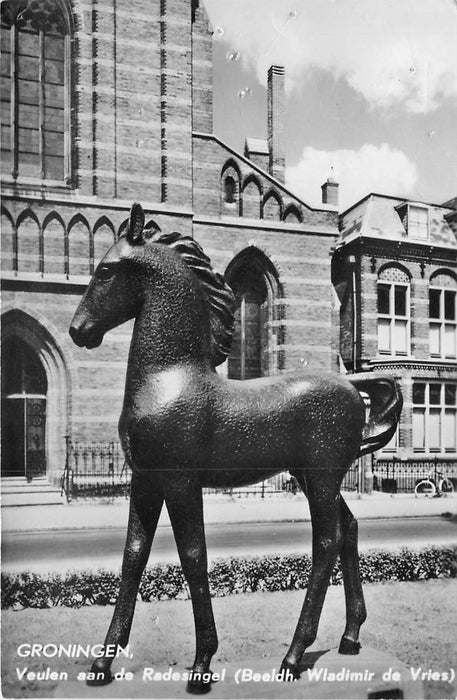 Groningen Veulen aan de Redesingel