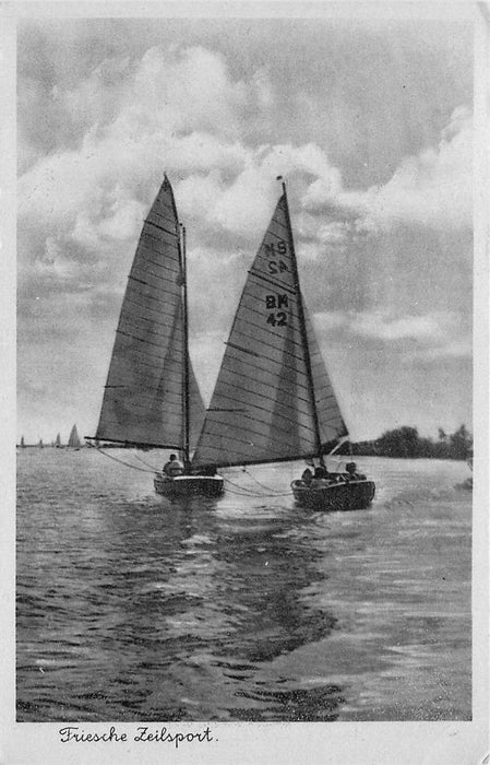 Friesche Zeilsport