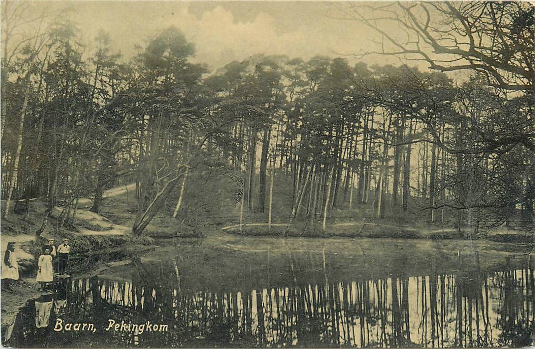 Baarn Pekingkom