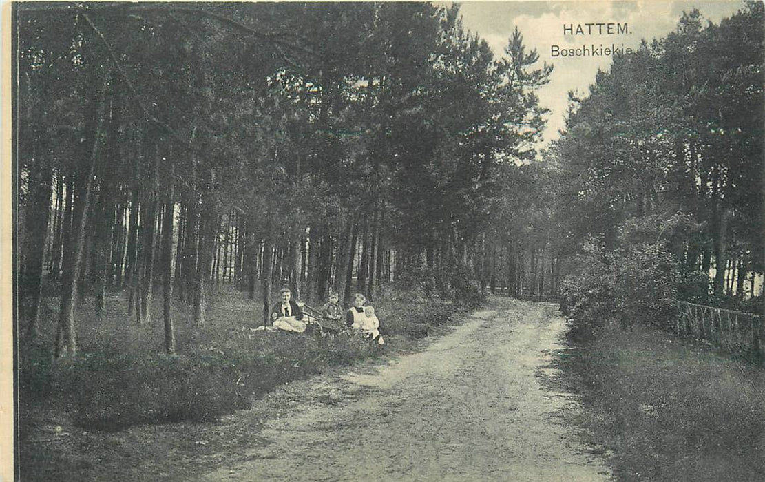 Hattem