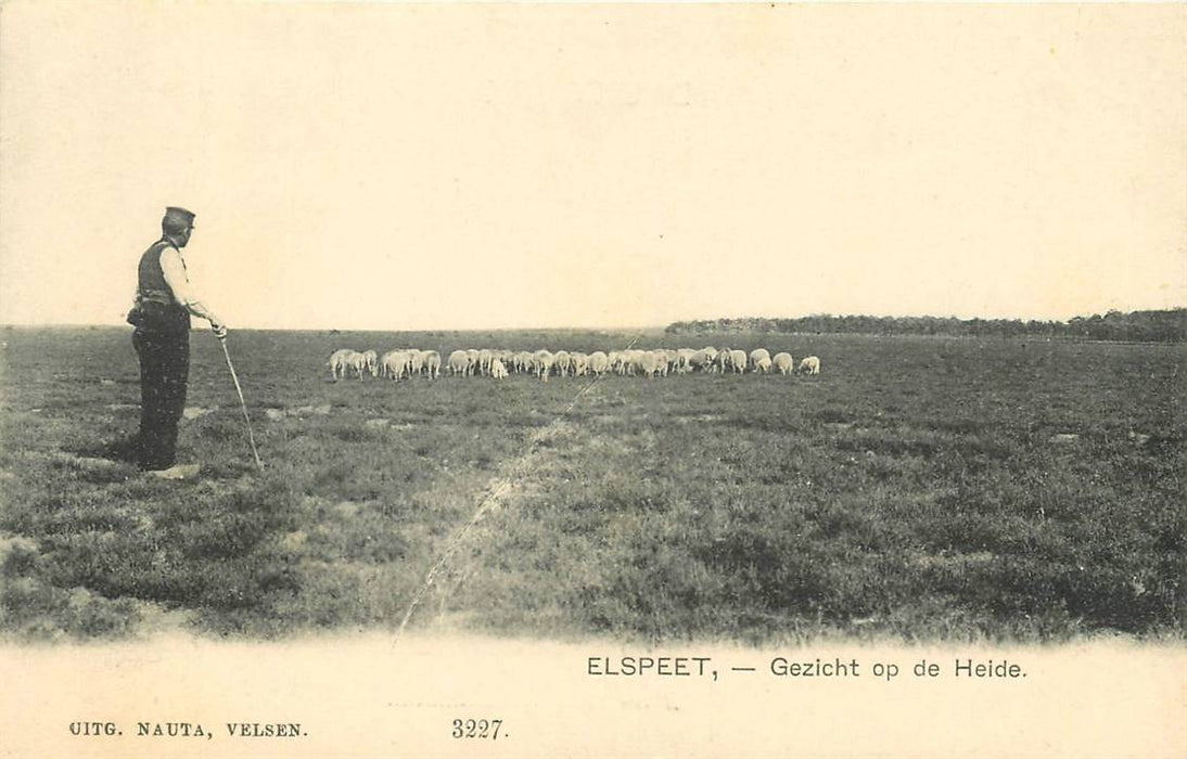 Elspeet