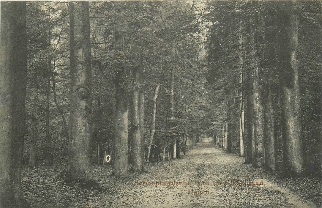 Doorn Schoonoordsche Laan